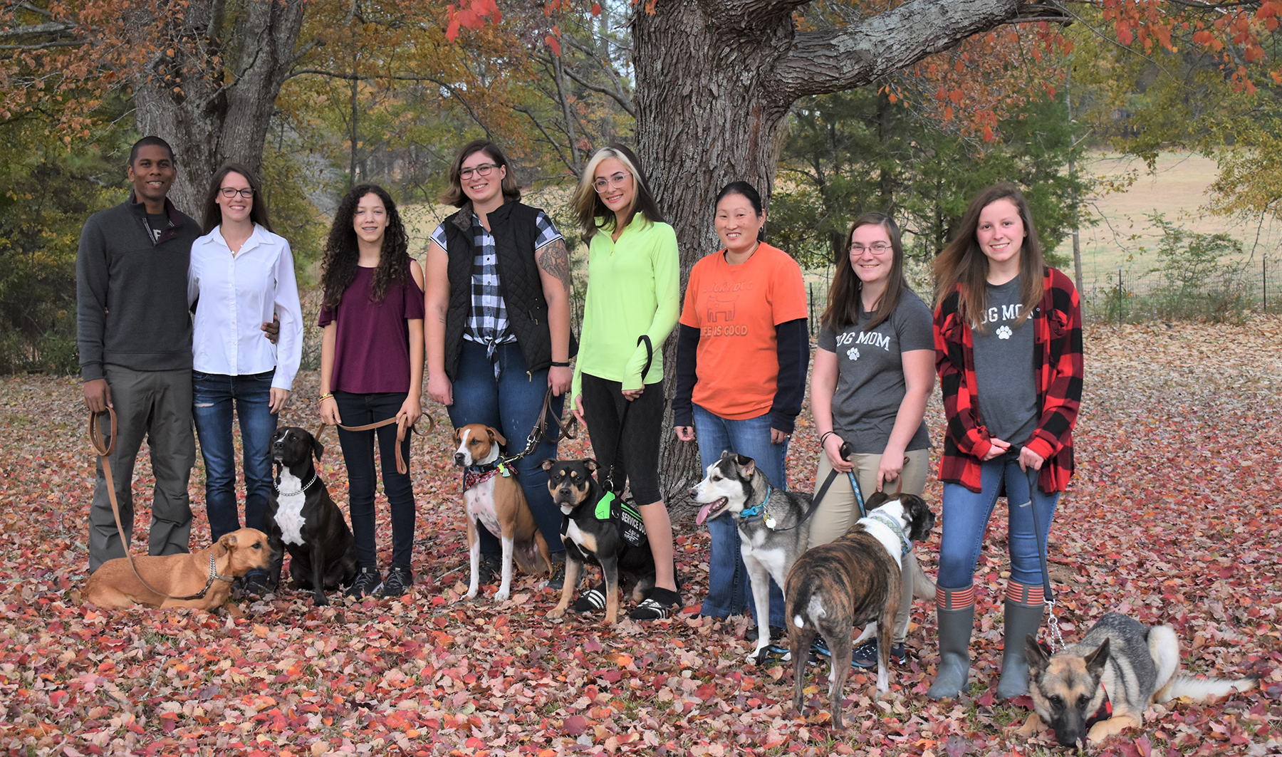 Team Photo at Smith Farms Best Dog Boarding in Georgia