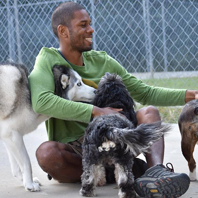 Dogs run up to greet employee at Smith Farms Kennel, the best doggy daycare and long-term dog boarding in Conyers, Georgia