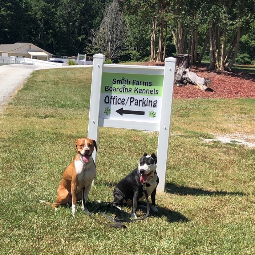 Best Dog Boarding Decatur Dog Training Near Decatur, GA